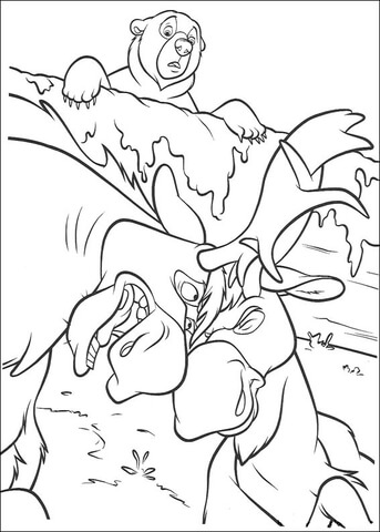 The Deer Is Fighting  Coloring Page